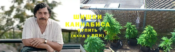 шишки Арсеньев